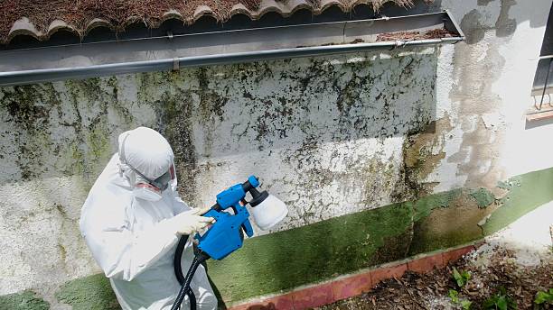 Trusted Crawl Space Mold Removal service in Garland, NC - Cheap Mold Removal